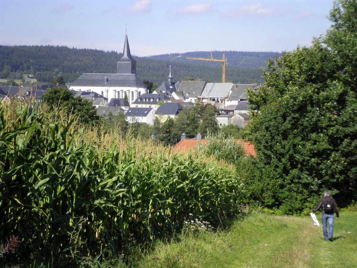 Ferienwohnung Am Weissenstaedter See Weißenstadt Exterior foto